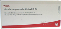 GLANDULA SUPRARENALIS cortex GL D 4 Ampullen