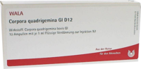 CORPORA quadrigemina GL D 12 Ampullen