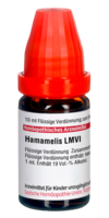 HAMAMELIS LM VI Dilution