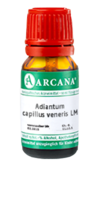 ADIANTUM CAPILLUS veneris LM 7 Dilution