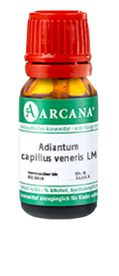 ADIANTUM CAPILLUS veneris LM 23 Dilution